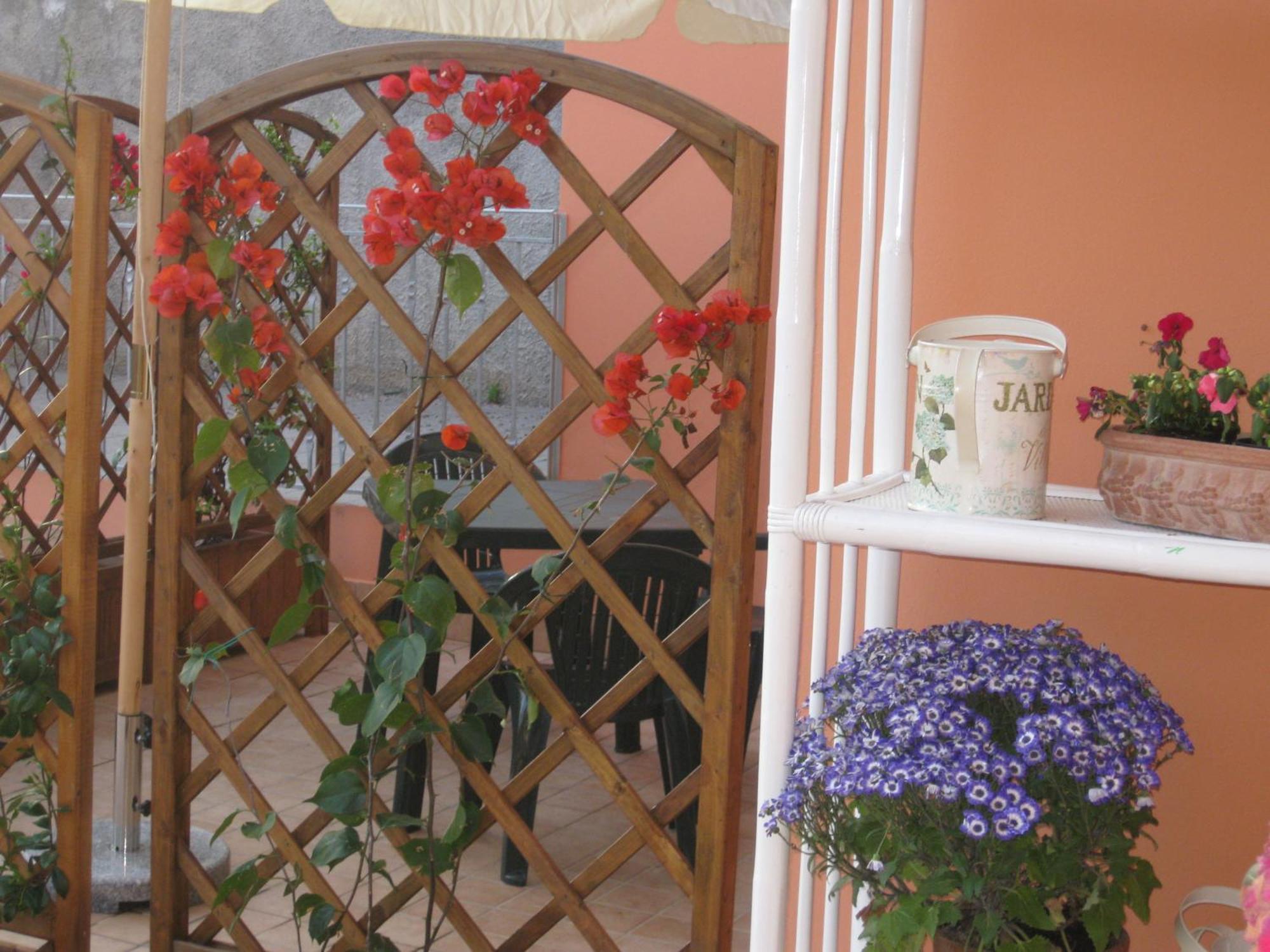 A Due Passi Dal Mare B&B Numana Dış mekan fotoğraf