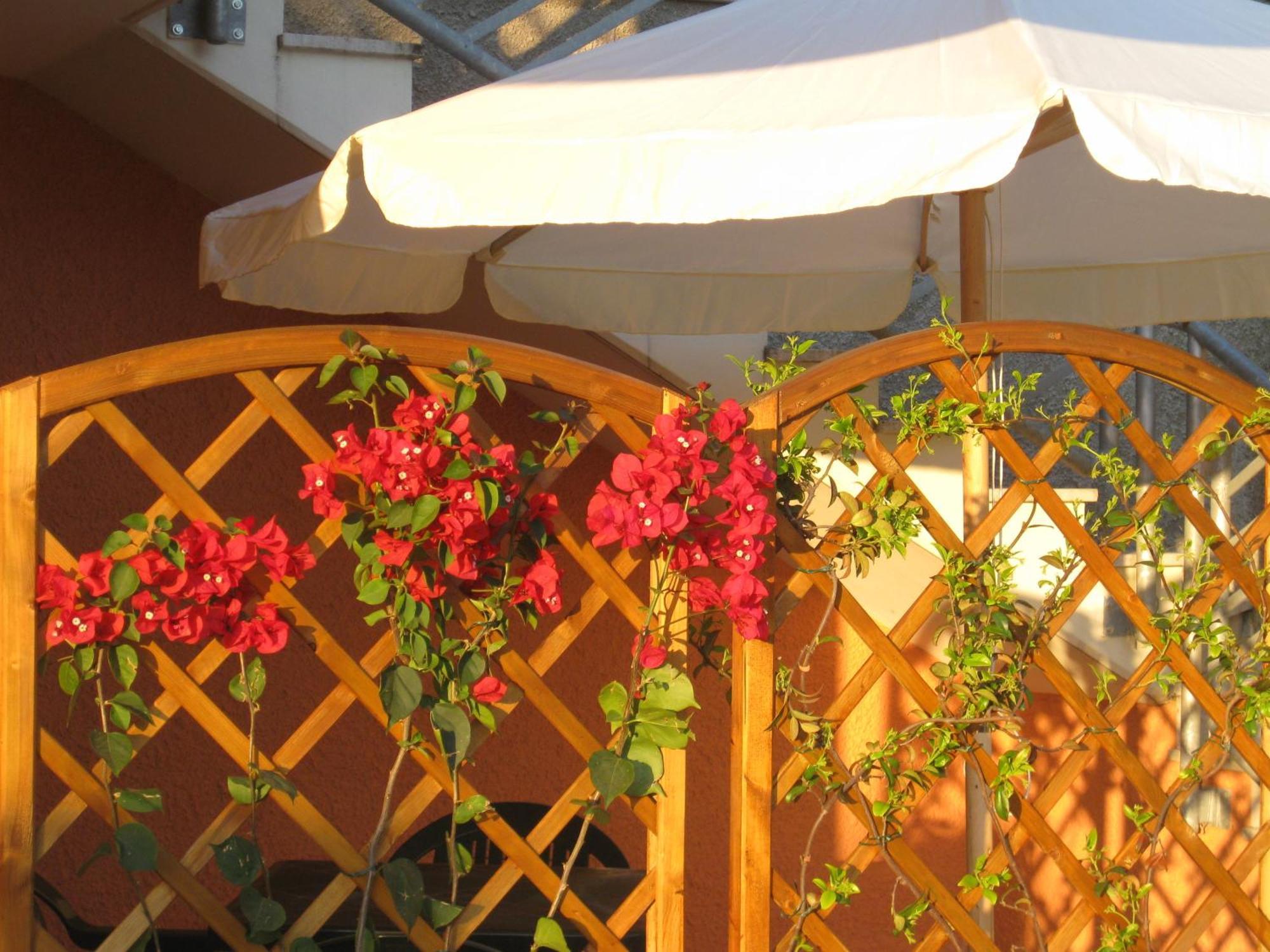 A Due Passi Dal Mare B&B Numana Dış mekan fotoğraf