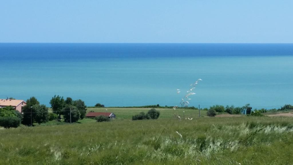 A Due Passi Dal Mare B&B Numana Dış mekan fotoğraf