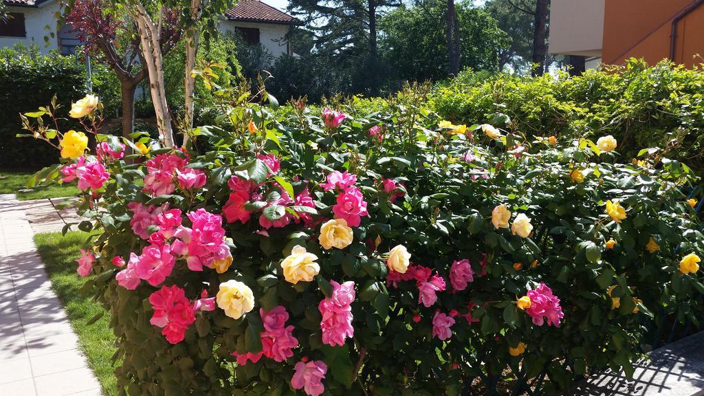 A Due Passi Dal Mare B&B Numana Dış mekan fotoğraf