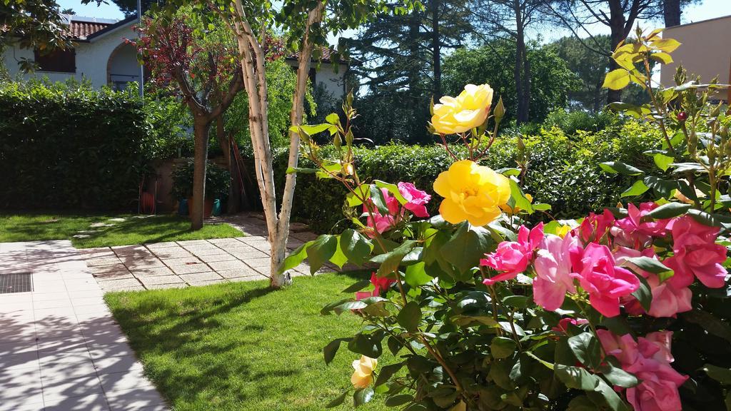 A Due Passi Dal Mare B&B Numana Dış mekan fotoğraf