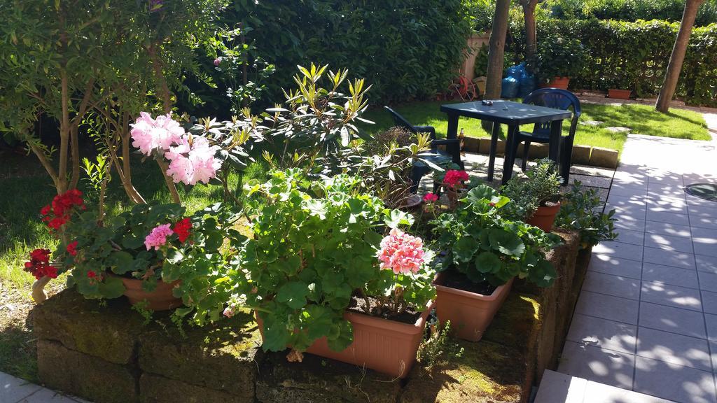 A Due Passi Dal Mare B&B Numana Dış mekan fotoğraf