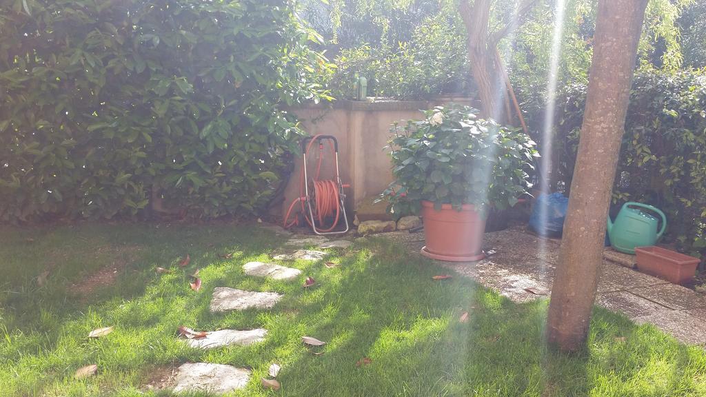 A Due Passi Dal Mare B&B Numana Dış mekan fotoğraf