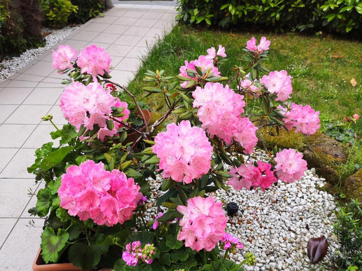 A Due Passi Dal Mare B&B Numana Dış mekan fotoğraf